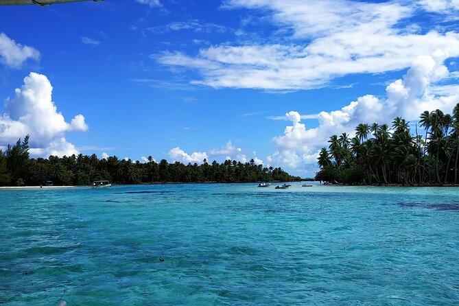 1/2 day Tahaa coral garden - departure Raiatea / ideal for cruise passengers - Walking over coral before the snorkel