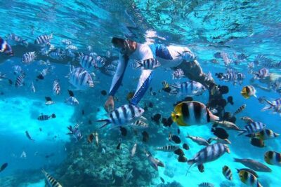 1/2 day Tahaa coral garden – departure Raiatea / ideal for cruise passengers