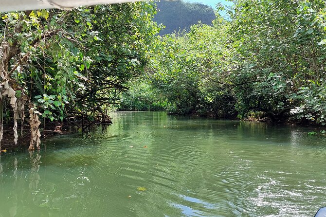 1/2 day "Treasures of Raiatea" by boat - ideal for cruise passengers - Key points to know before you book