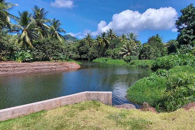 1/2 day "Treasures of Raiatea" by boat - ideal for cruise passengers - Heading inland on the Faaroa River