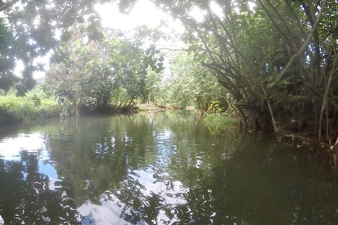 1/2 day "Treasures of Raiatea" by boat - ideal for cruise passengers - The lagoon ride between the two stops