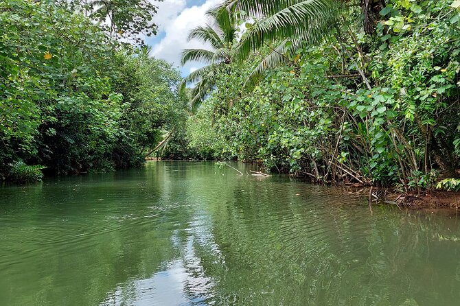 1/2 day "Treasures of Raiatea" by boat - ideal for cruise passengers - Rain, comfort, and what to bring