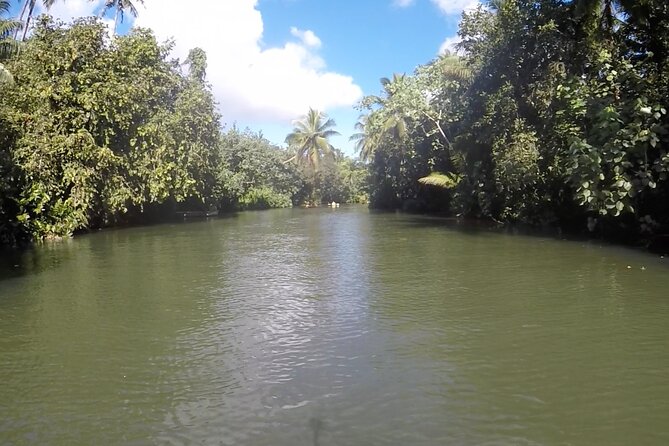 1/2 day "Treasures of Raiatea" by boat - ideal for cruise passengers - Is $144.54 a fair price?