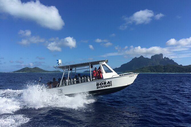 1 Afternoon Dive for Certified Divers in Bora Bora - At Bora Diving Center, the focus is on ready-to-use gear