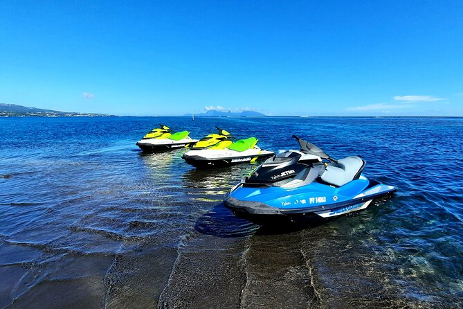 1-hour jet ski excursion in Tahiti - Marine life can turn a fun ride into a highlight