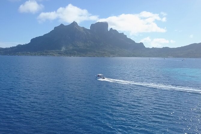 2 Dives in the morning for certified divers in Bora Bora - Second stop: reefs, sharks, and moving water