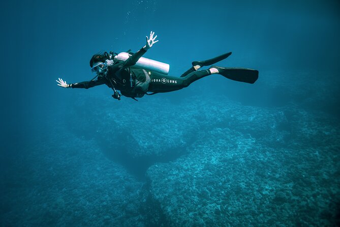 2 Dives in the morning for certified divers in Bora Bora - What $235.69 represents