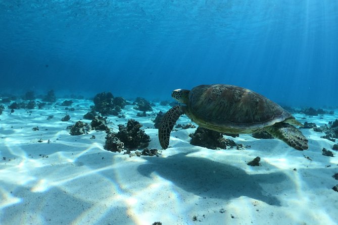 2 hours discovery tour of Moorea by Jet Ski - Riding through Moorea’s bays and along the coast