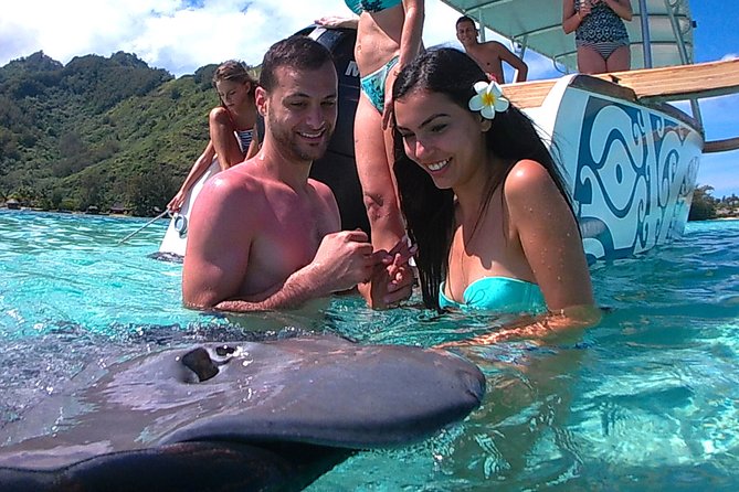 3-hour Lagoon Snorkeling Tour - Shared Tour - The shark and stingray stop is the main event