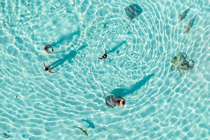3-Hour Snorkeling Tour - Key points to know before booking