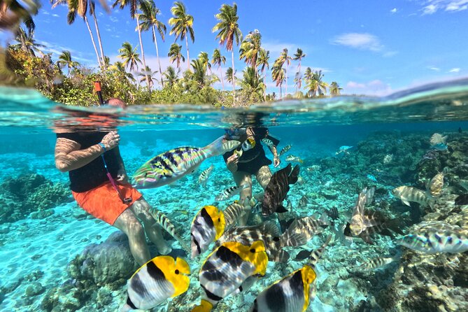 3H Adventure in JET SKI Snorkeling and Tahaa Lagoon - Key points to know before booking