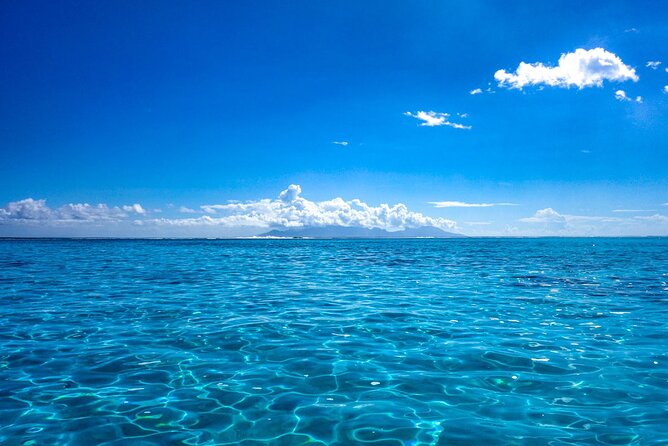3h dolphin and snorkeling tour in a wild lagoon with Mobydick - What the three hours feel like