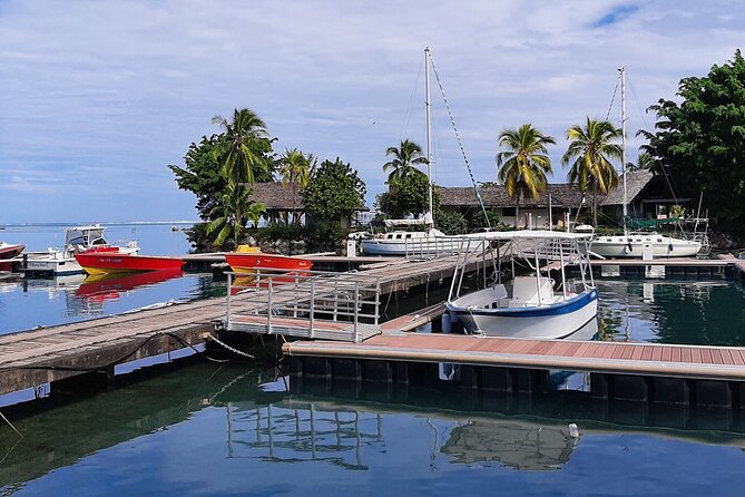 3h dolphin and snorkeling tour in a wild lagoon with Mobydick - Finding the harbor at PK 27