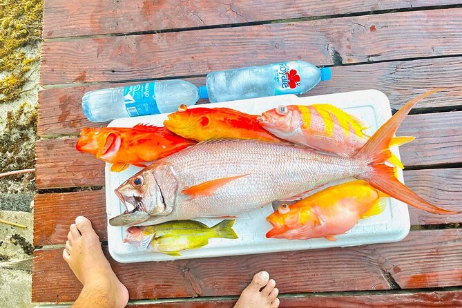 4 Hour Ariki Fishing Activity in Moorea - Starting at Manava Beach Resort at 8:00 a.m.