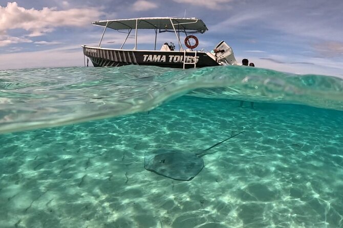 4 Hour Private Humpback Whales Encounter in Moorea - What the crew adds beyond whale watching
