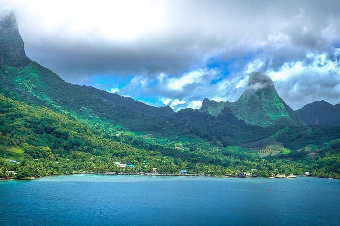4 Hour Private Humpback Whales Encounter in Moorea - Price, group size, and overall value
