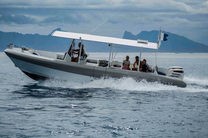4 Hours of Humpback Whale Watching in Tahiti - When snorkeling with whales is possible
