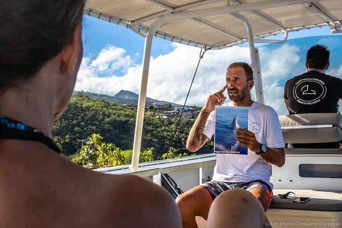 4 Hours of Humpback Whale Watching in Tahiti - Is $127.54 a fair price?