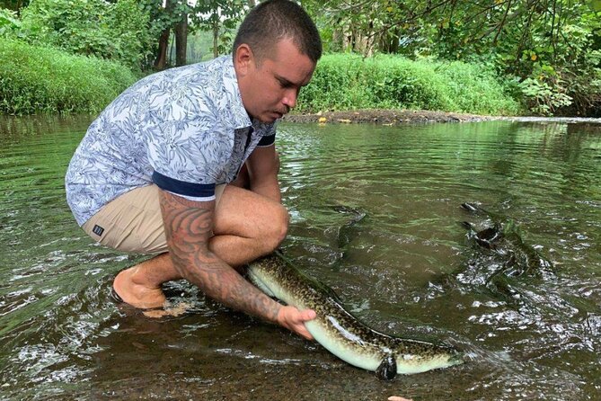 4x4 Moorea Safari Tours : Private tours - Magic Mountain: 30 minutes above Opunohu Bay
