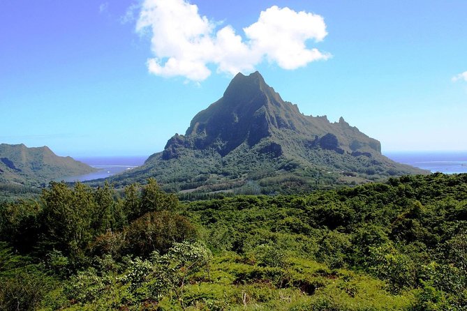 4x4 Moorea Safari Tours : With Hotel transfers - Feeding eels, crossing rivers, and seeing another Moorea