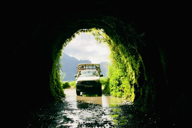 4x4 Safari HEREAKIMANU Tour in the Heart of Tahiti - The ride: thrilling for some, punishing for others