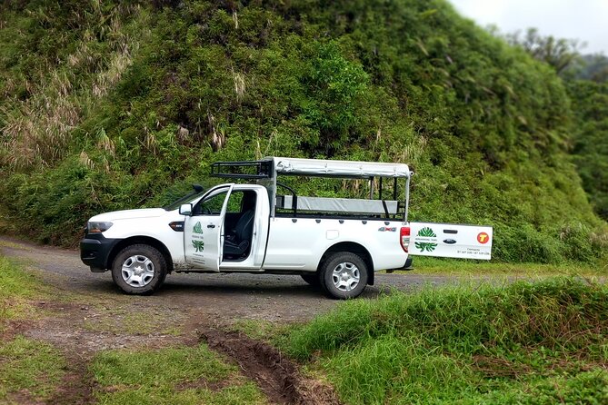 4x4 Safari HEREAKIMANU Tour in the Heart of Tahiti - How much value do you get for $143.27?