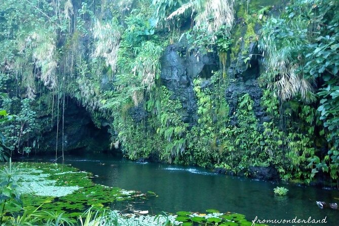 5 Hours Tahiti Island Tour - West and East Coast - Faarumai Waterfalls saves a dramatic sight for later