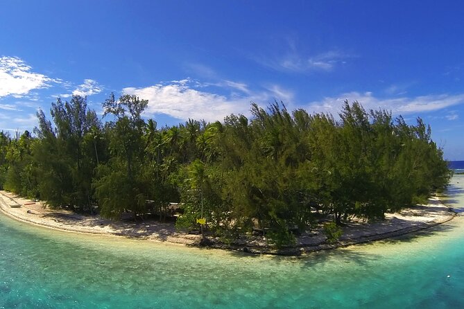 6 Hour Private Boat Activity with Snorkeling & Lunch - Who Will Enjoy This Moorea Boat Day Most?