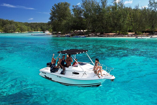 6 Hour Private Boat Activity with Snorkeling & Lunch - Snorkeling With Rays, Sharks, Turtles, and Reef Fish