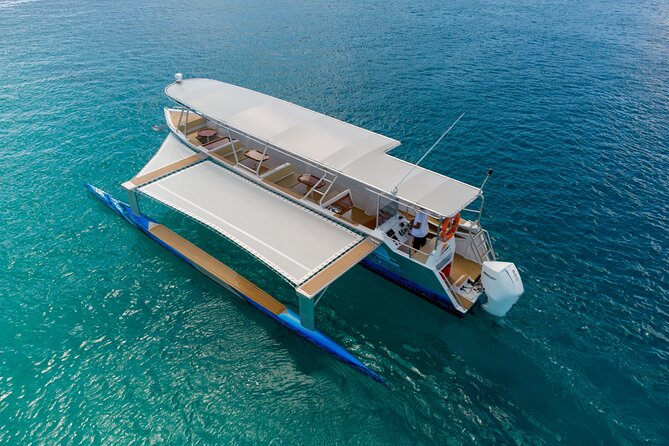 A private tour with Blue Lagoon - A private day on Raiatea or Tahaa
