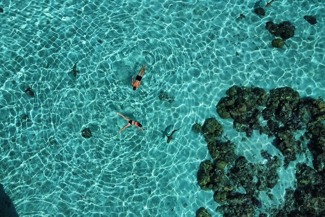 A private tour with Blue Lagoon - Lunch, snacks, and the real value of the package