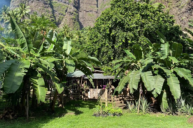 Adventurous Escape to Hakaui Valley - The 3.5-hour hike to Vaipo Waterfall