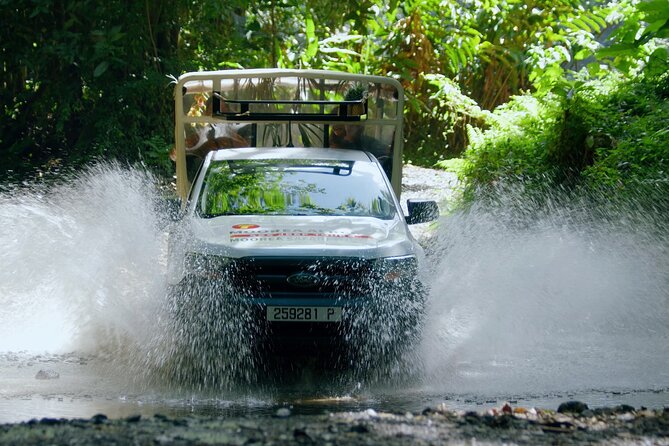 ALBERT TOURS: Excursion 4x4 safari with private SWING view point - Key points to know before booking