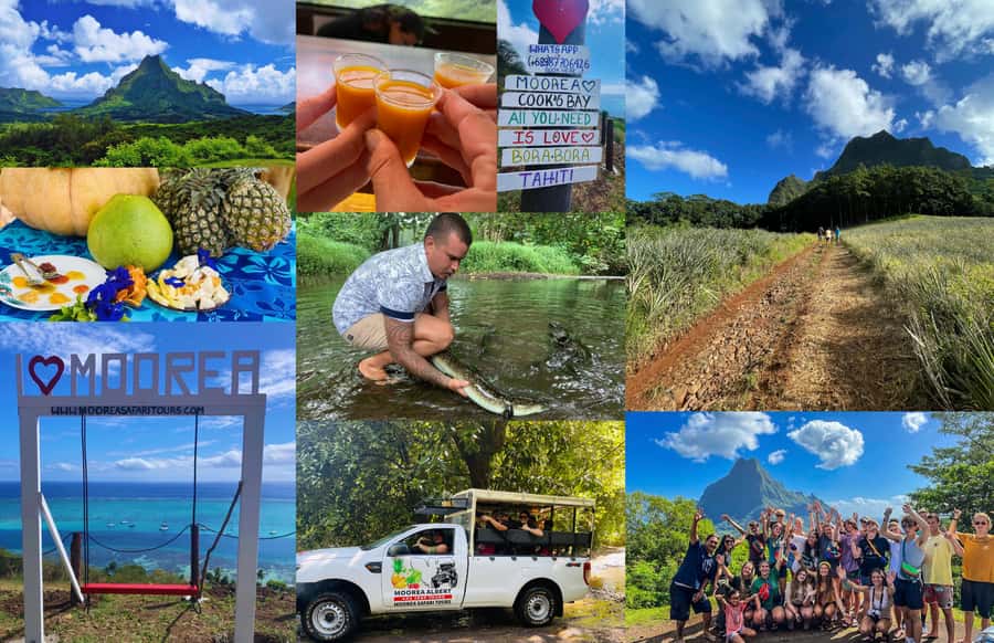 Albert Tours Excursion Safari - Moorea Safari tours&pick up - Key points at a glance