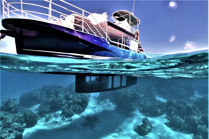 An Immersed Day in Bora Bora with O-sea - What the $200 price gets you