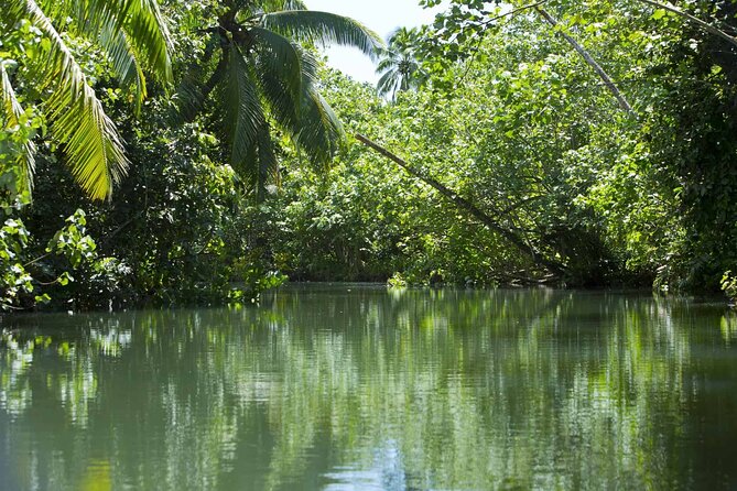 Apetahi day trip around Raiatea on a modern outrigger canoe - A lunch break beside the water