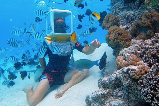 Aqua Safari Introductory Helmet Dive (Underwater Walk) - Key details before you book