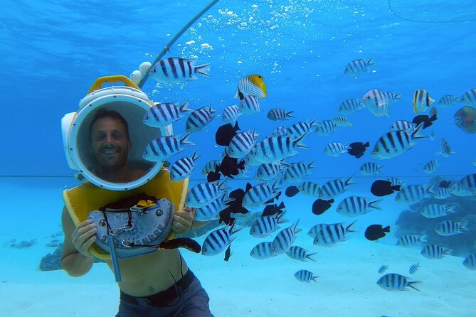 Aqua Safari Introductory Helmet Dive (Underwater Walk) - Why this helmet walk is different in Bora Bora
