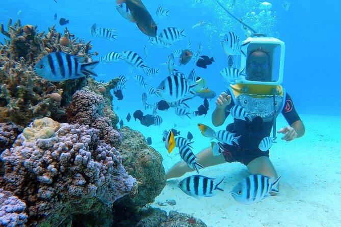 Aqua Safari Introductory Helmet Dive (Underwater Walk) - The safety briefing and first descent