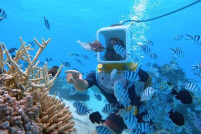 Aqua Safari Introductory Helmet Dive (Underwater Walk)