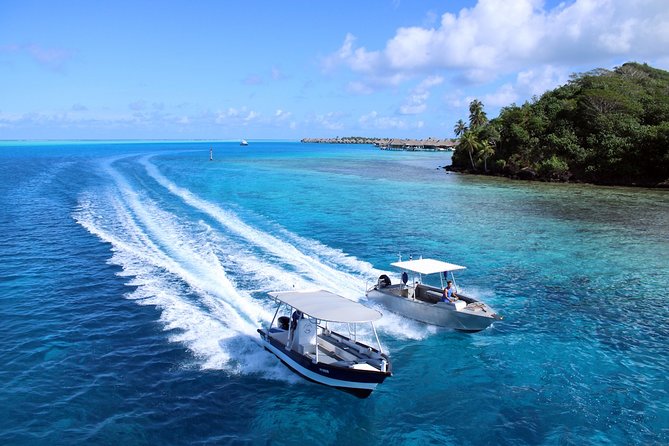 Aqua Safari Introductory Helmet Dive (Underwater Walk) - The guides make or break the mood