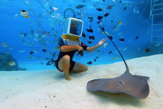 Aqua Safari Introductory Helmet Dive (Underwater Walk) - Is the $158.76 price fair?