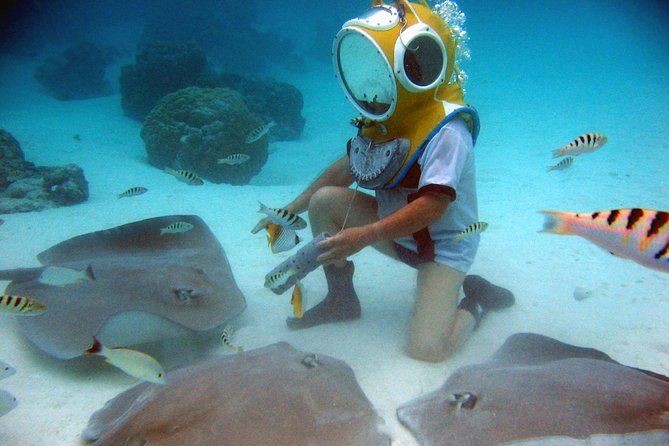 Aquablue Moorea - Walking among fish and stingrays