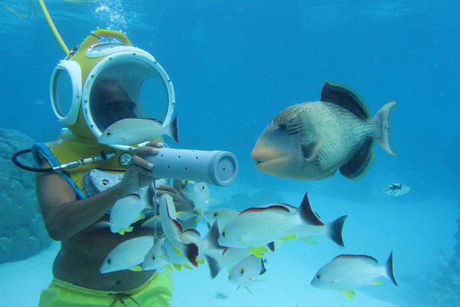 Aquablue Moorea - Why the small group matters