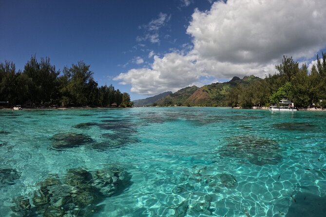 Aquablue Moorea - Value at $109.55 per person