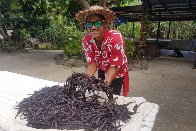 Authentic Polynesian Experience - Drift snorkeling through the coral gardens
