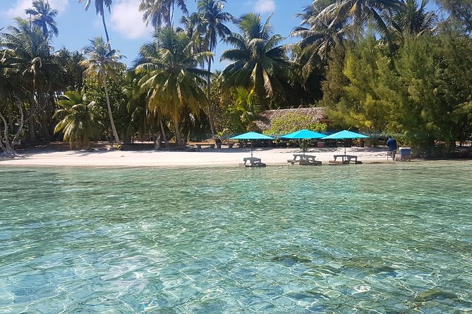Authentic Polynesian Experience - A motu lunch with fish and reef sharks