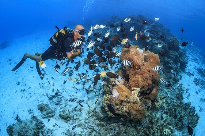 Baptism diving in the turquoise waters of Tahiti - Why this Tahiti introduction works for first-timers