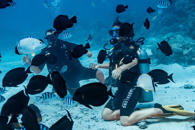 Baptism diving in the turquoise waters of Tahiti - Is $157.90 a fair price?