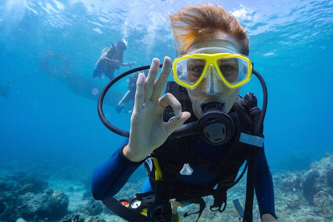 Baptism diving in the turquoise waters of Tahiti - Meeting at the InterContinental Tahiti Resort at 2:00 pm